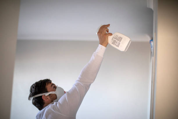 Best Black Mold Removal  in Moville, IA