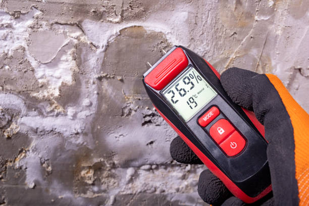 Mold Removal and Inspection in Moville, IA