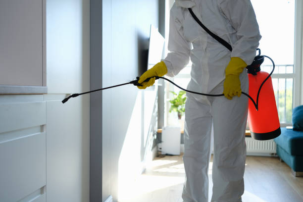 Best Emergency Mold Removal  in Moville, IA